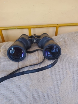 Viniculare  dela marca   bushnell  12 x 60