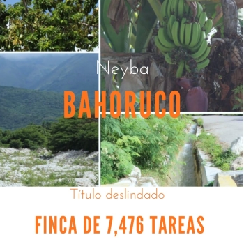 Finca de 7476 tareas  agrícolas en  neyba baohoruco