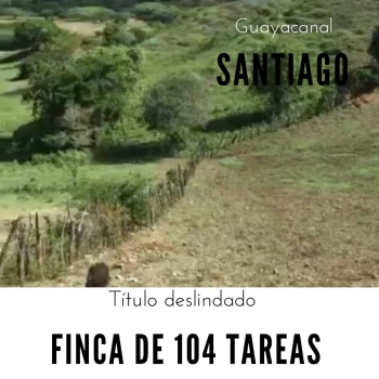 Finca o terreno 104 tareas en santiago