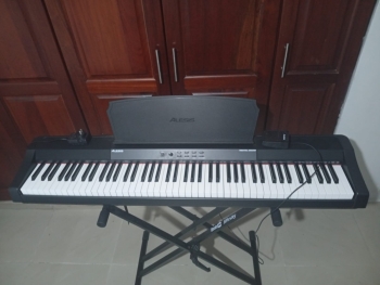 Alesis recital grand  en santo domingo dn