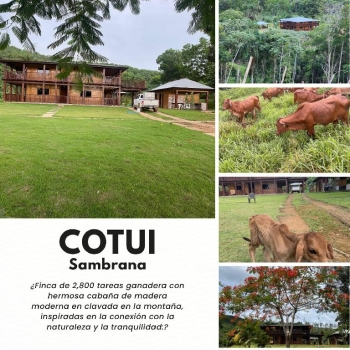 Excelente finca de 2800 tareas totalmente ganaderas incluida 170 cabez