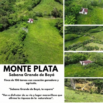Finca de 106 tareas con vocación agrícola y ganadera en  sabana grande