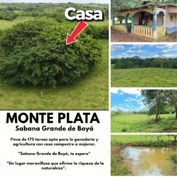 Ganadería y agricultura con casa campestre a mejorar en sabana grande