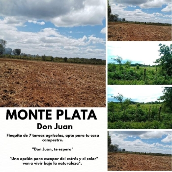 Finca de 7 tareas apta para la agricultura y casa campestre en don jua