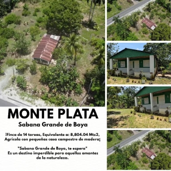 Finca de 14 tareas agrícolas con casa campestre en sabana grande de bo