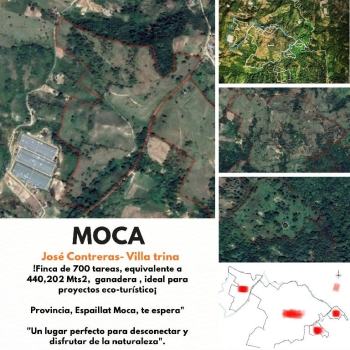 Oportunidad finca de 700 tareas ganadera en moca