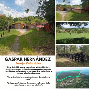 Finca de 2522 tareas totalmente ganadera con vocación eco-turísticas p
