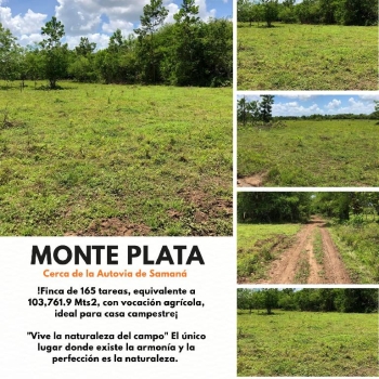 Finca de 165 tareas con vocación agrícola y ganadera ideal para su cas