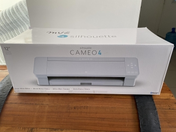 Cameo siluete 4