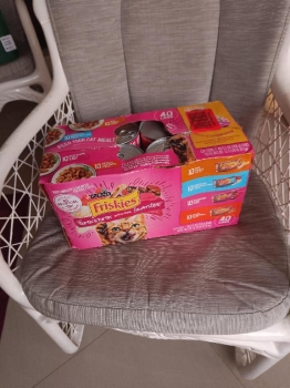 Purina para gatos 40 latas