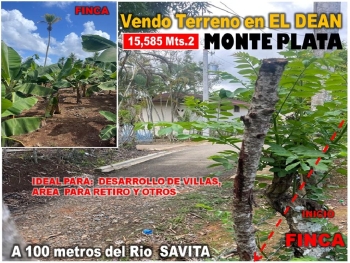 Vendo 15585 mts.2 sembrado de platanos y dentro del pueblo del dean mo