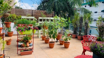 Hermoso apartamento en alquiler en renacimiento