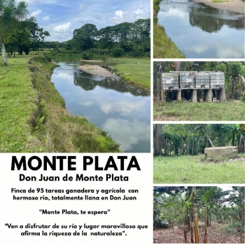 Finca de 96 tareas ganaderas y agrícolas con hermoso río totalmente ll