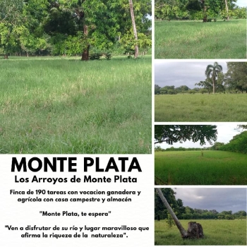 Finca de 190 tareas con vocación agrícola y ganadera con casa y almacé