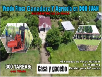 Vendo super finca ganadera y agrícola 300 tareas en don juan monte pla