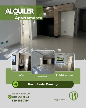 Apartamento en alquiler en naco santo domingo