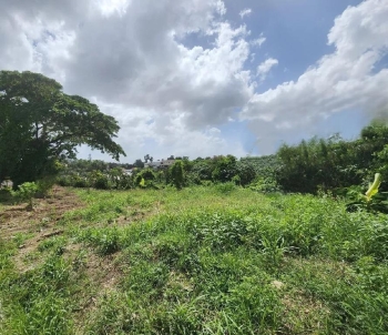 Solar en venta en bavaro 500 metros con titulo