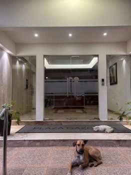 V01-aa-1438 alquiler de apartamento -gazcue