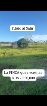 Finca en venta en carretón bani de 5000 metros título al salir
