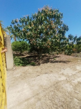 Finca de 12000 metros en hacienda estrella