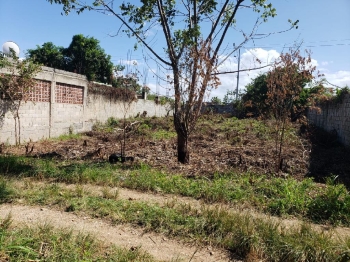 Solar en hipódromo próximo a la ecológica