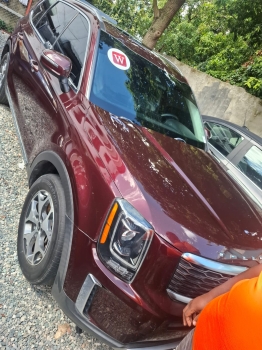 Kia telluride ex 2020