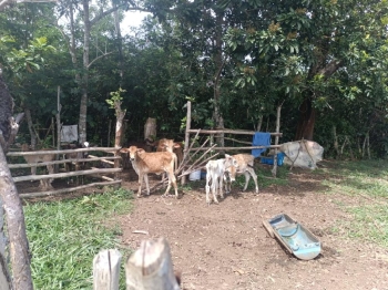Finca de 172 tareas ganaderas en monte plata