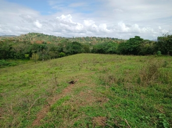 Finca de 100 tareas con vocación agrícola y ganadera en yamasá