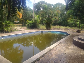 Finca de 57 tareas con casa campestre y piscina con vocación agrícola