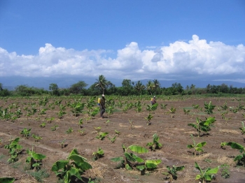 Finca en tavila / cabral