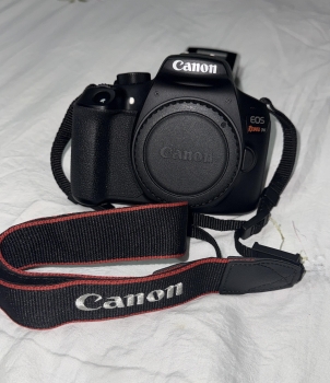 Cámaras canon eos revel t6
