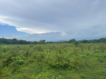 Finca de 50 tareas agrícolas e ideal para casa campestre en don juan m