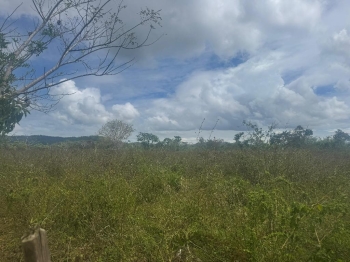 Finca de 15 tareas ideal para su casa campestre en monte plata  ubicac
