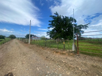 Vendo excelente finca de 3600 tareas totalmente llanas y ganaderas en