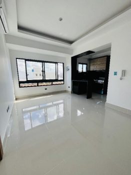 Alquilo apartamento en naco piso 15