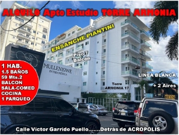 Alquilo apto de 1 hab 7mo. nivel balcon ens. piantini torre armonia 17