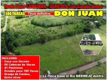 Vendo super finca ganadera y agrícola 300 tareas en don juan monte pla