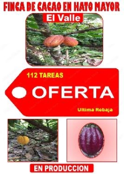 Ultima rebaja en finca de cacao en produccion 112 tareas en el valle d