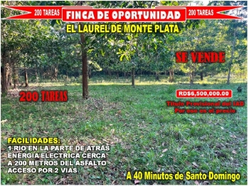 Vendo finca ganadera – agricola de 200 tareas en el laurel monte plata