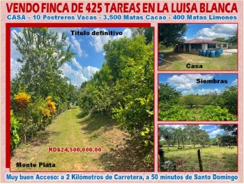 Vendo finca de ganadera – agricola en la luisa blanca 425 tareas con c