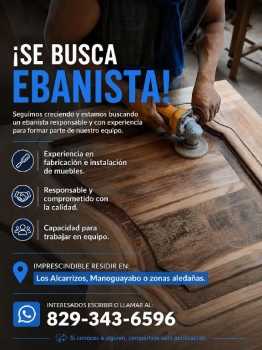 Busco carpintero ebanista