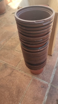 Tengo varias cajas de macetas pequeñas vendo 3 unid x 100 pesos !