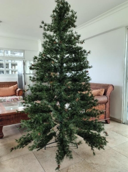 Que no te agarre diciembre sin tu árbol de navidad!