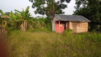 Finca de 16 tareas ideal para casa campestre o agricultura en el bosqu