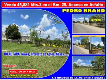 Vendo terreno para naves aptos en pedro brand 45881 mts.2 rebajada a 3
