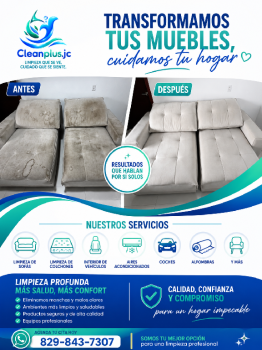 Limpieza de muebles