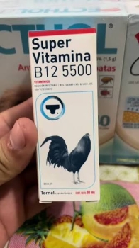Vitamina b15-5500 para grandes atletas