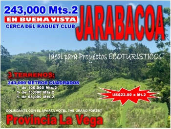 Vendo 243000 mts.2 en 3 terrenos buena vista jarabacoa cerca del raque