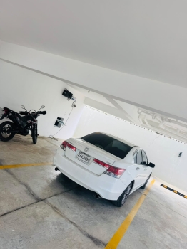 Honda accord 2011 xle