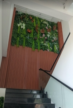 Fabricación  mantenimiento de jardín vertical